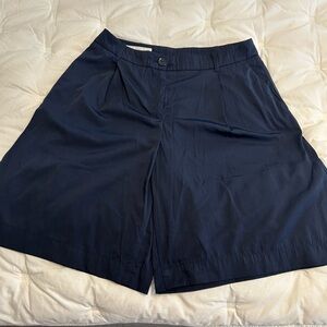 Zara Navy Blue Nylon Pleated Short size Small